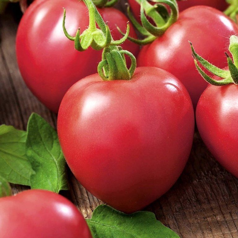Piante & sementi: TOMATE Himbeertomate Retro  / 10 Samen – Nuovo (secondo la descrizione) da Hinteregg venduto da ERFOLG78 1