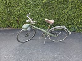 Werner Motorenbau M13 Berini Motorfahrrad 1953 Oldtimer Orig