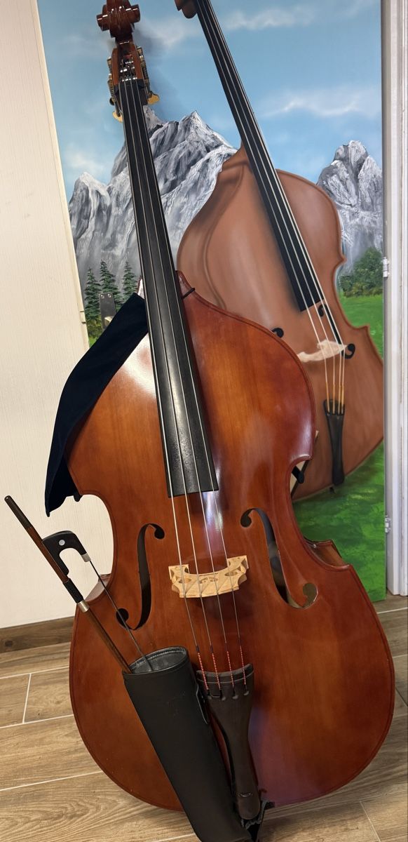 Instruments de musique: Kontrabass 1/2 – D'occasion à Ganterschwil par bebi10