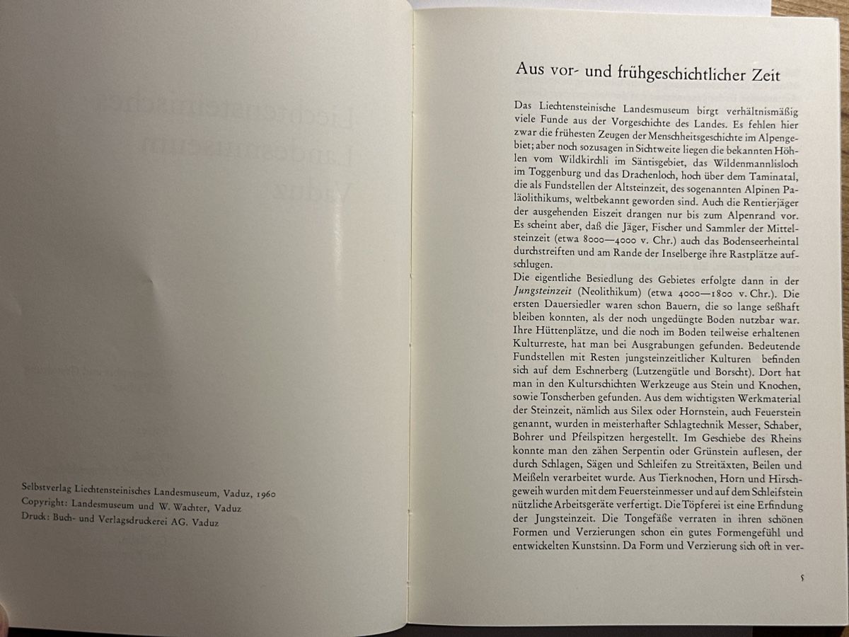 Libri: Landesmuseum Vaduz – Usato da Berschis venduto da Vild1 6