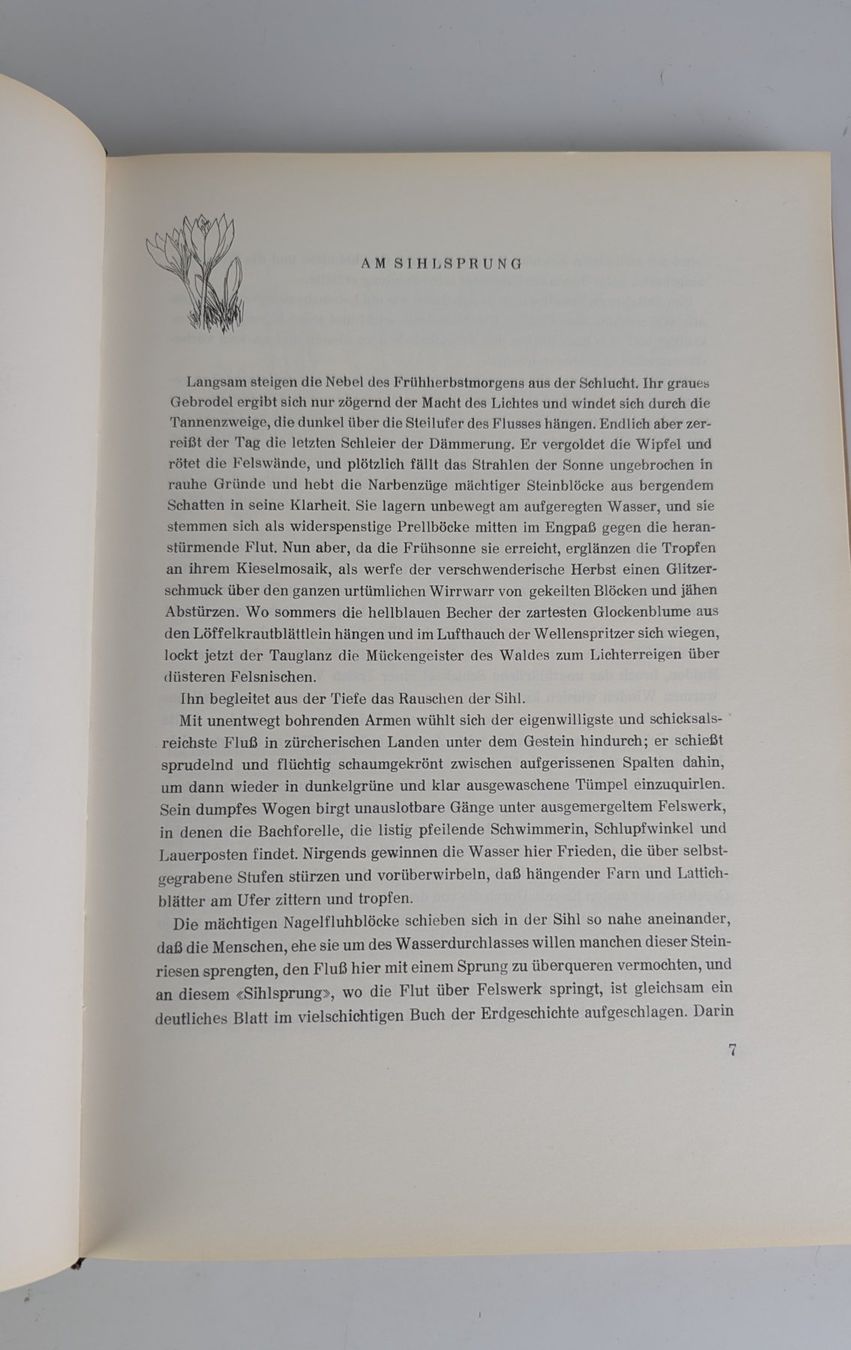 Libri: Das Buch vom Sihltal, Gottlieb Heer. 1948 – Usato da Zürich venduto da axolottchen 6