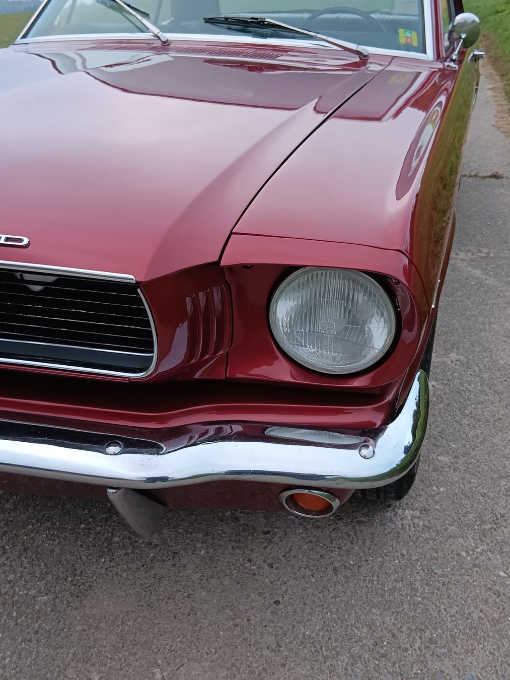 Ford (Usa) Autos: Ford Mustang 289 V8 1966 – Gebraucht aus kölliken von TerryCash 3