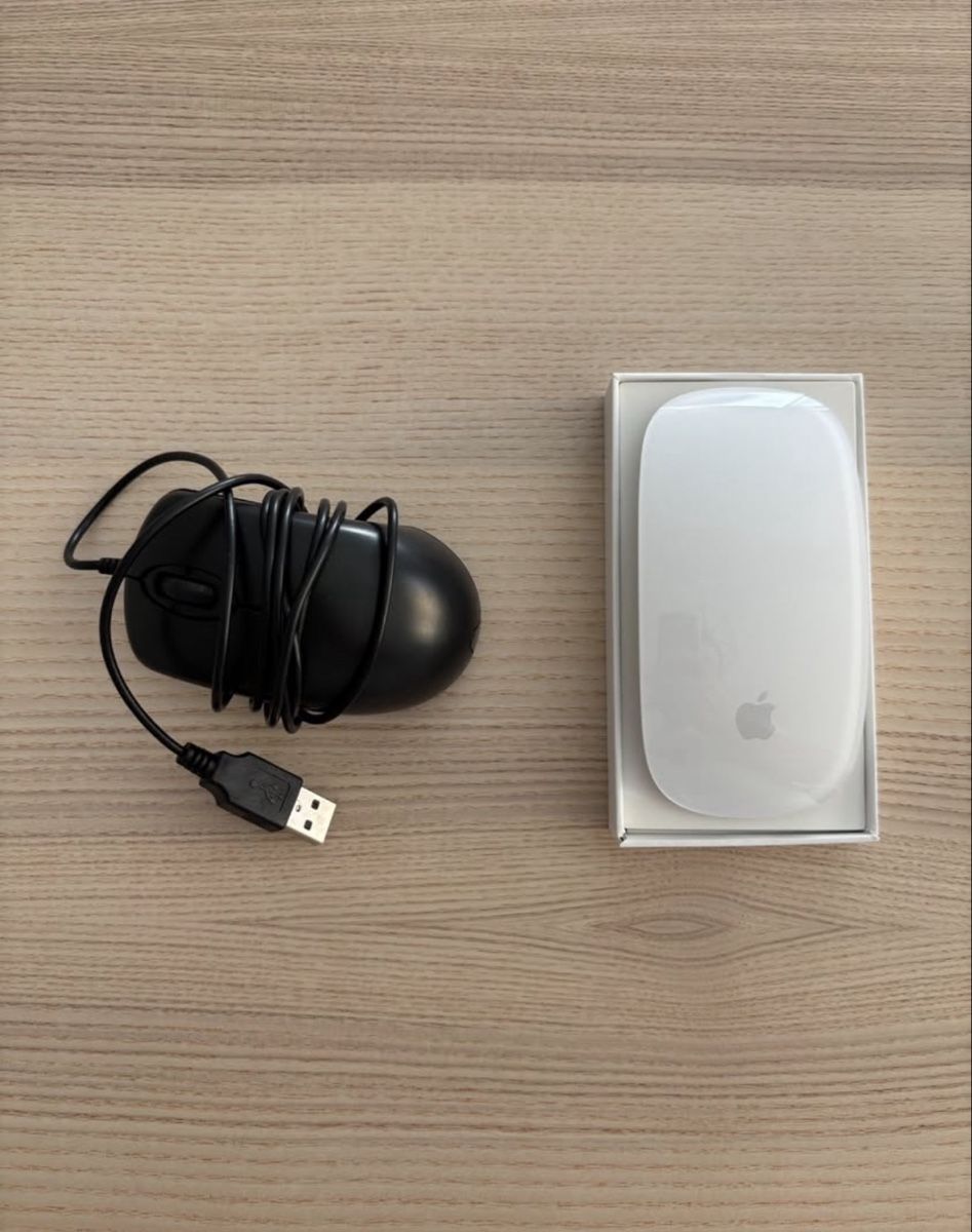 Apple Mouse: Apple Magic Mouse – Nuovo (secondo la descrizione) da Trimbach venduto da fro_2ztm