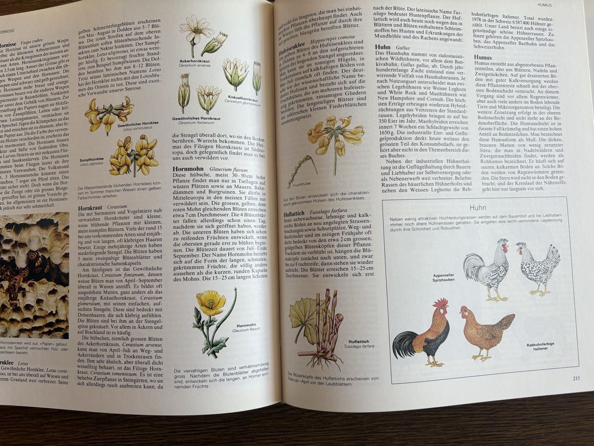 Livres: Die Schweiz von A-Z – D'occasion à Wyssachen par Hahe89 6