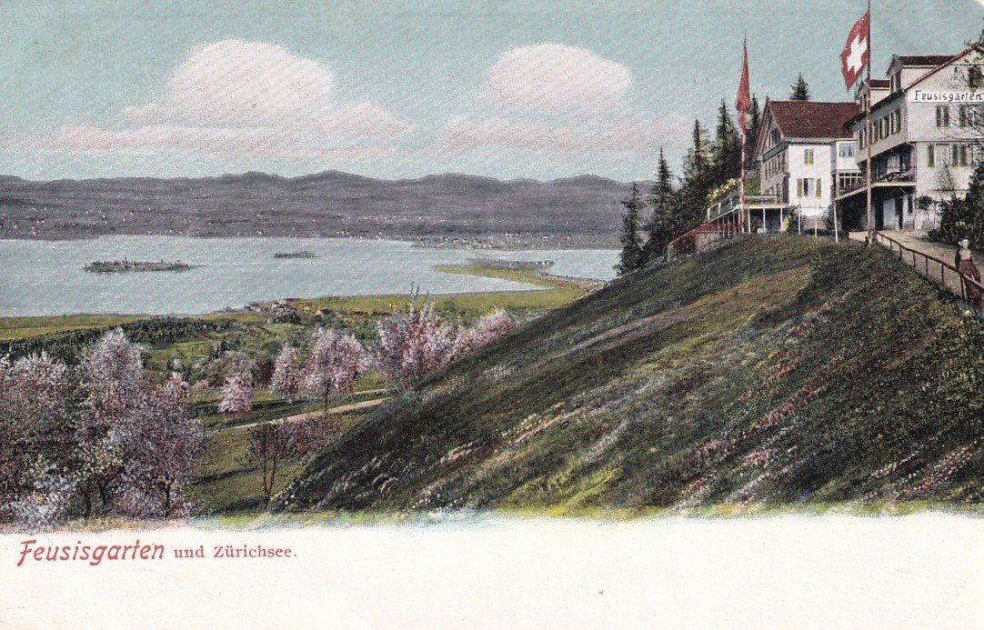 Cartoline postali: AK Feusisgarten (Feusisberg SZ) – Usato da Baar venduto da Asmara111