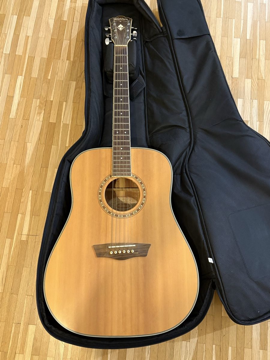 Washburn Strumenti musicali: Chitarra Washburn – Usato da Paradiso venduto da ago_yj79
