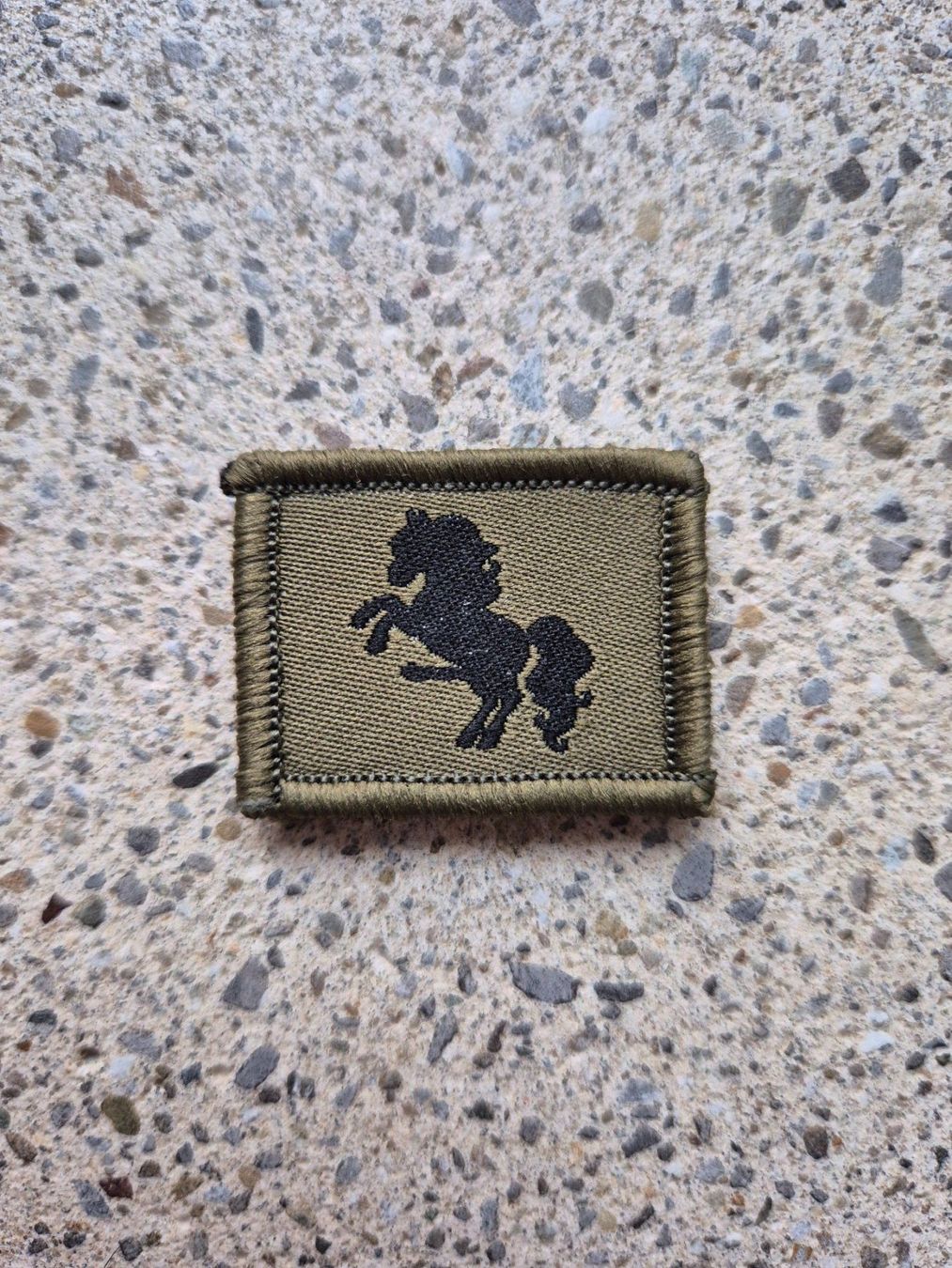 Schweizer Armee Placchette & Badge: *** Spass Funktionsabzeichen mit klett *** – Nuovo e nell'imballaggio originale da Riedholz venduto da fr_sIruP