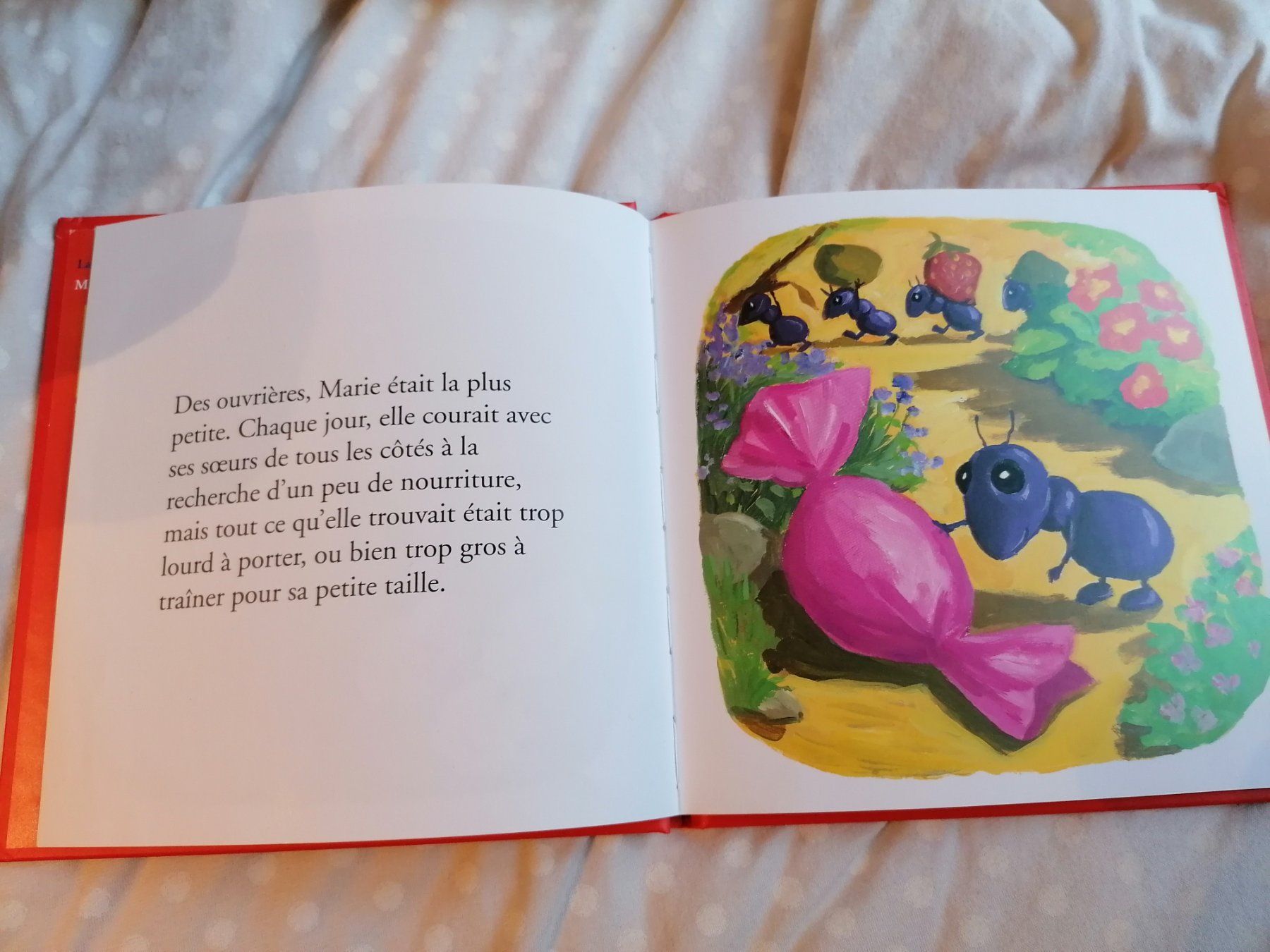 Bücher: Livre Marie la Fourmi – Gebraucht aus Büttikon AG von Amineah 1