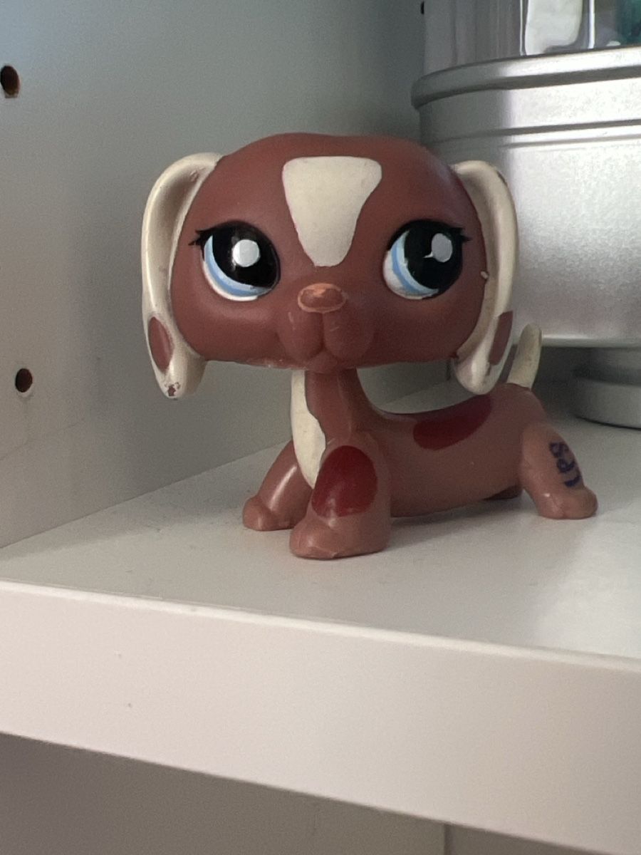 Littlest Pet Shop Figuren: Littlest pet shop sammler – Gebraucht aus Zuchwil von PonyPopArt