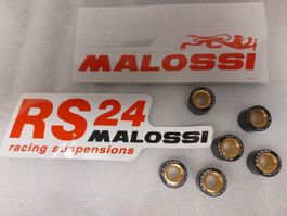 Walzen Malossi 6gr Variatore Scooter Tuning