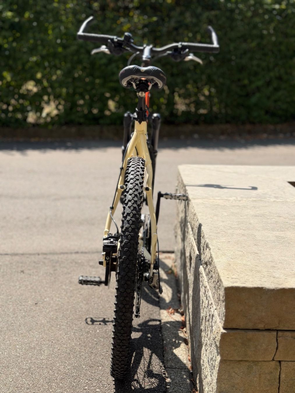 Focus Biciclette: Focus Zonukwa – Usato da Samstagern venduto da Playerz_M3 2