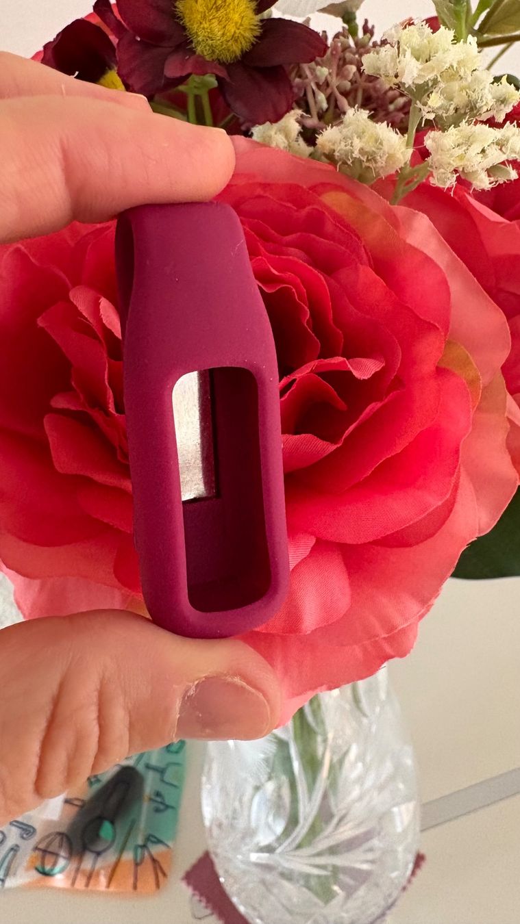 Fitbit Smartwatch: Clip holder for Fitbit Inspire 3 - Bordeaux – Nuovo (secondo la descrizione) da Adliswil venduto da fashionholic