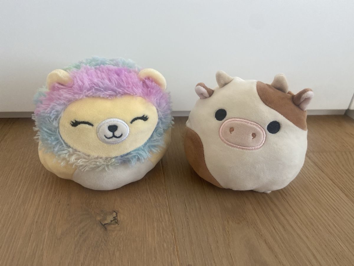 Squishmallows Giocattoli: Squishmallows 2 Stück 10 cm – Usato da Birmenstorf AG venduto da jokerit02