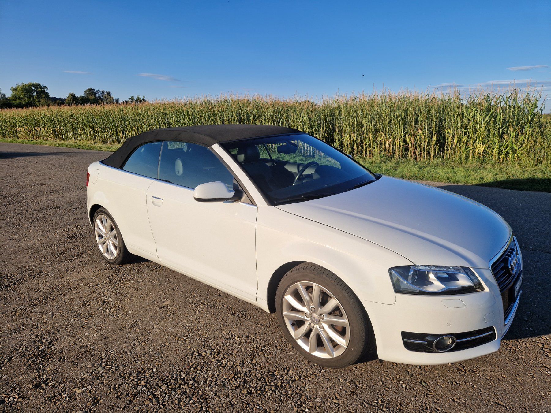 Audi Automobili: AUDI A3 1.4TFSI CABRIO AB MFK – Usato da Frauenfeld venduto da dragon1000 2