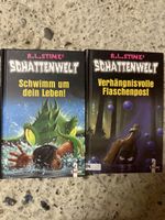 Schattenwelt Buch