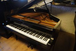 Flügel Grotrian Steinweg 140