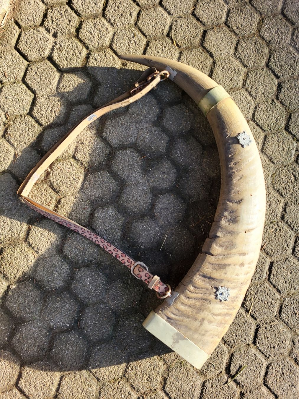 Tutte le decorazioni: Trinkhorn: Büffel oder Rind – Usato da Schönenberg ZH venduto da Samichlaus71