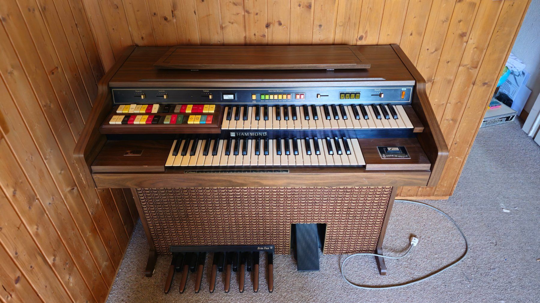 Hammond Strumenti musicali: Hammond Orgel, Top Zustand! – Usato da Niederscherli venduto da omi10 1
