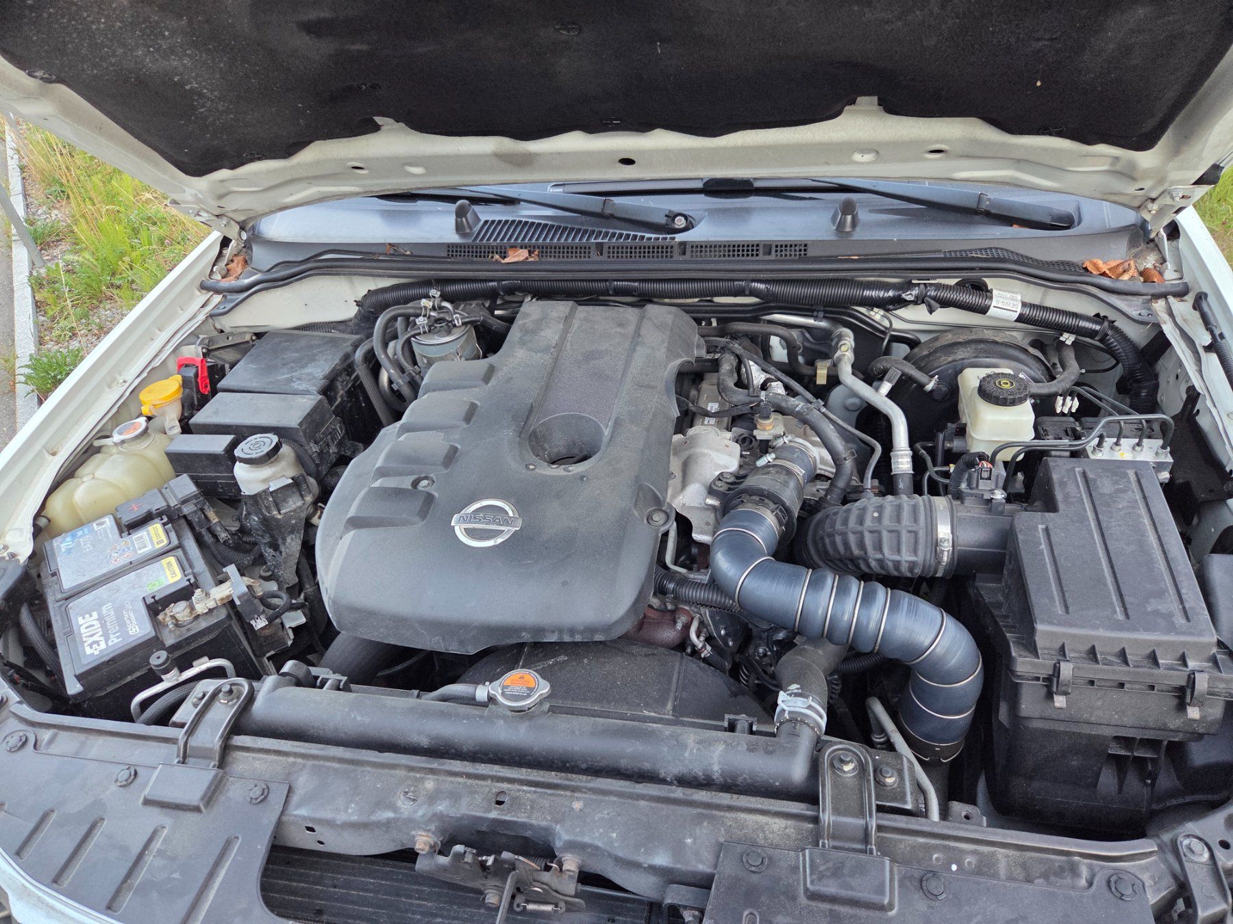 Nissan Veicoli commerciali: NISSAN Navara DC 4WD – Usato da Niederteufen venduto da Oli181 6