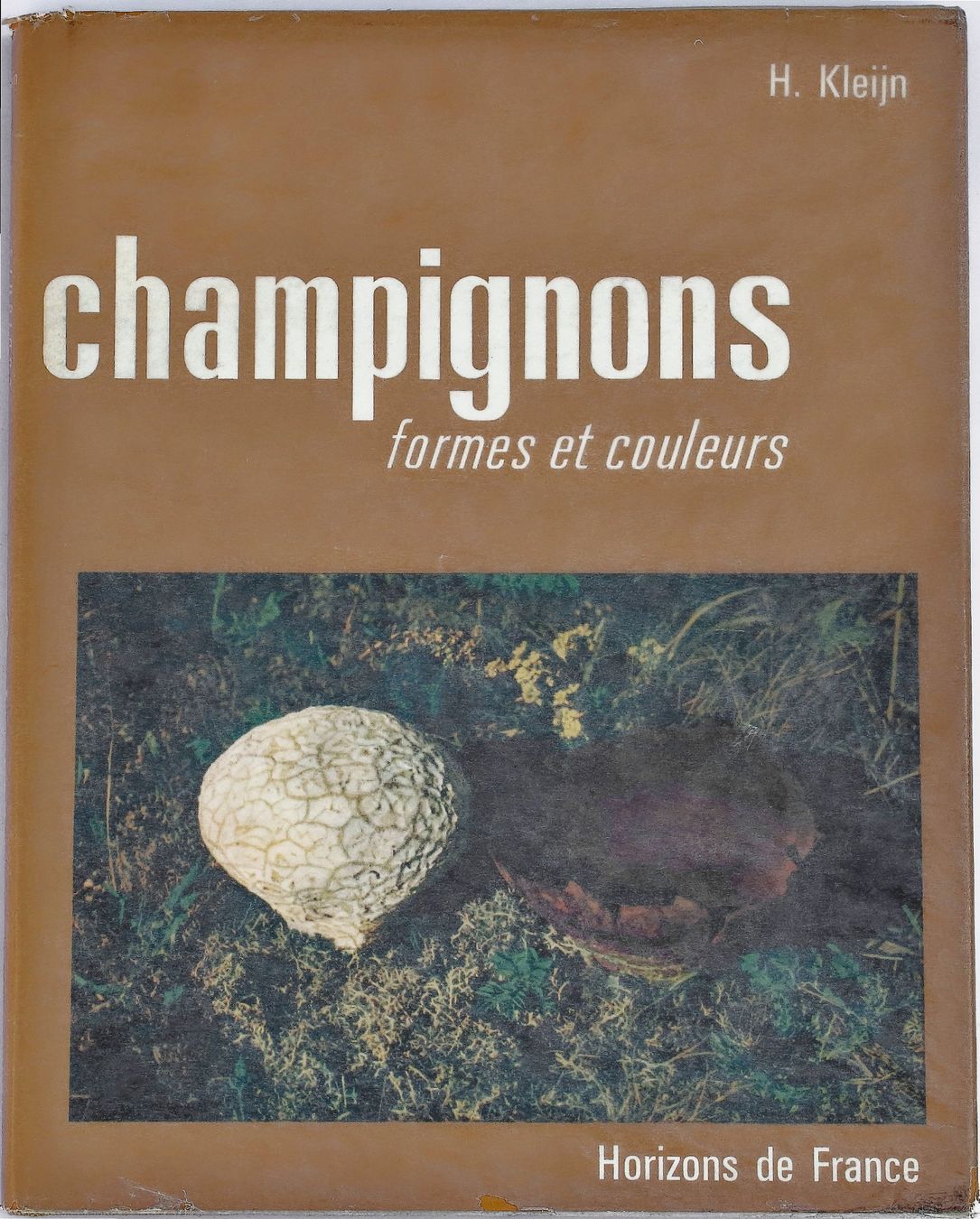 Libri: CHAMPIGNONS "Formes et Couleurs" H. Kleijn – Usato da Onex venduto da gonsla