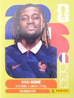 Panini FIFA World Cup FRA 11