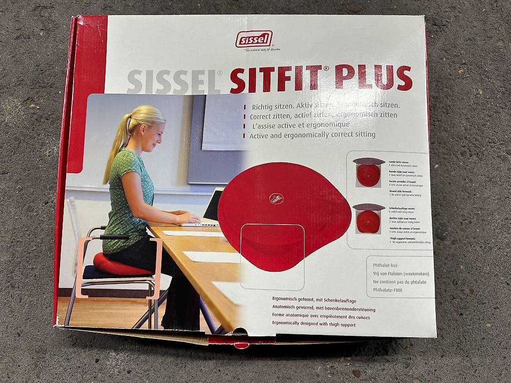Cuscini: Sitzkissen – Usato da Rafz venduto da Ack