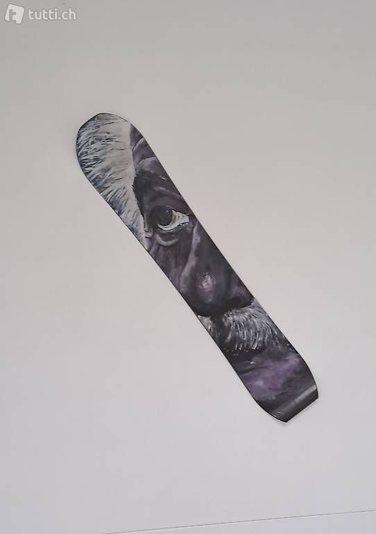 Foto & Immagini: Bild von "Albert Einstein" auf Snowboard gemalt... – Usato da Stans venduto da wer_fd5f 3