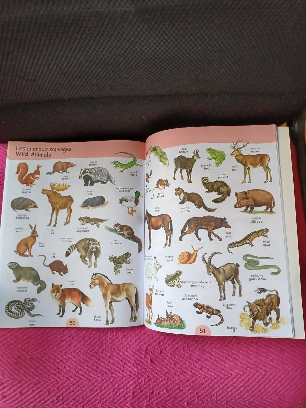 Libri: dictionnaire visuel – Usato da Soyhières venduto da 5jm_5czl 3