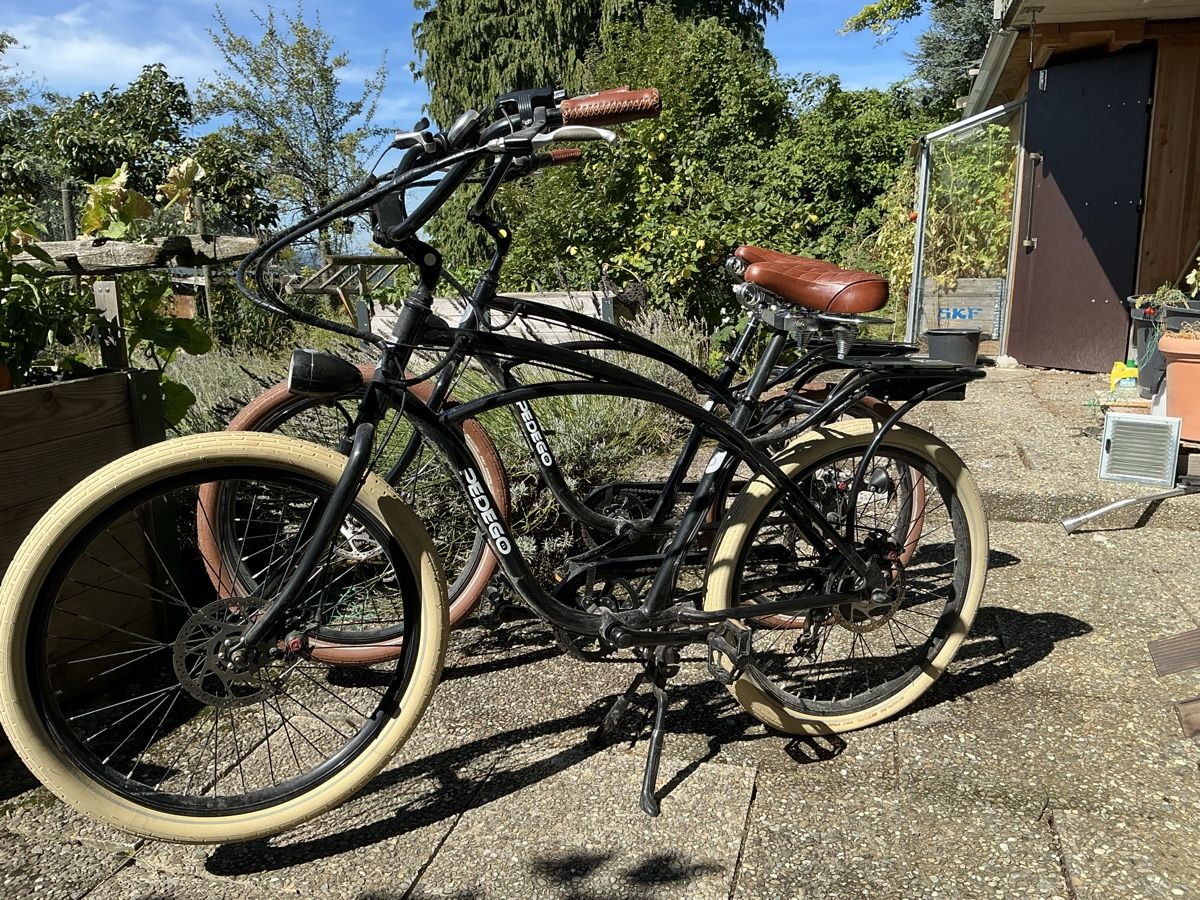 Biciclette: Ebike, Cruiser – Usato da Nussbaumen TG venduto da Hejo1
