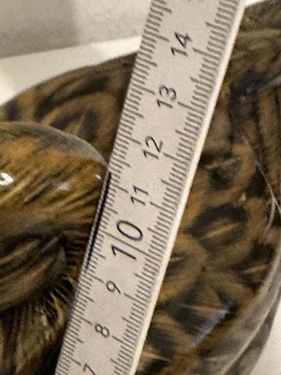 Statuette: Enten 🦆 Keramik Perchen – Nuovo (secondo la descrizione) da Basel venduto da Ivana_4 6