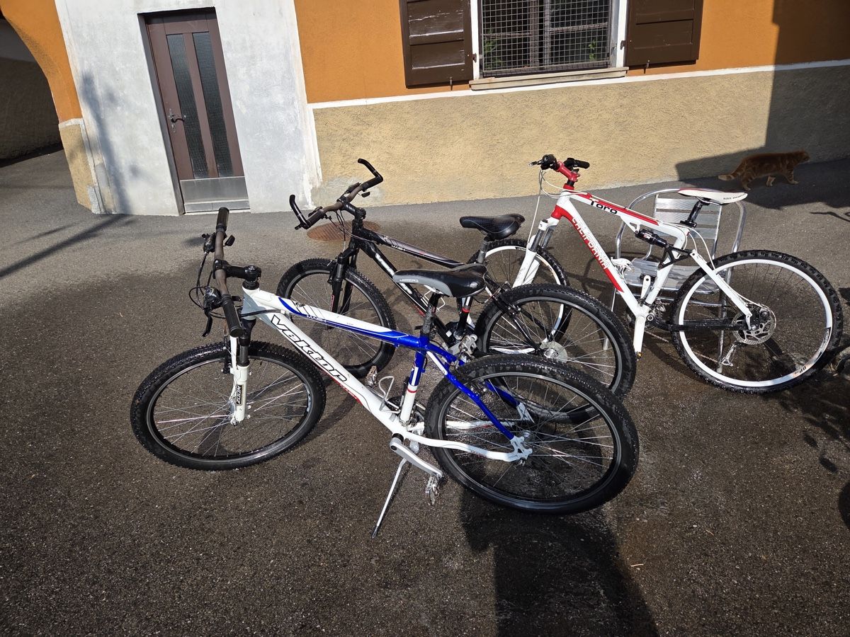 Velos: 3 mtb 26" – Gebraucht aus Rodi-Fiesso von FastandFurious73