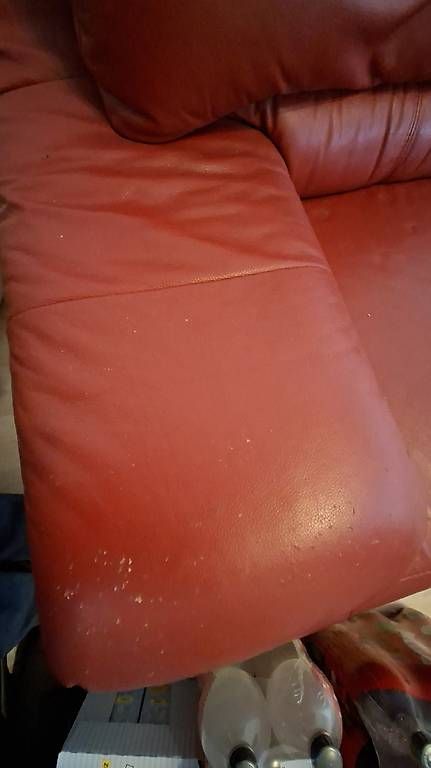 Divani: Echtleder-Sofa, rot - bequem – Usato da Herisau venduto da less_is_more 3