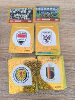 210 Panini WM 2026 Sticker ab CHF1.-🔥