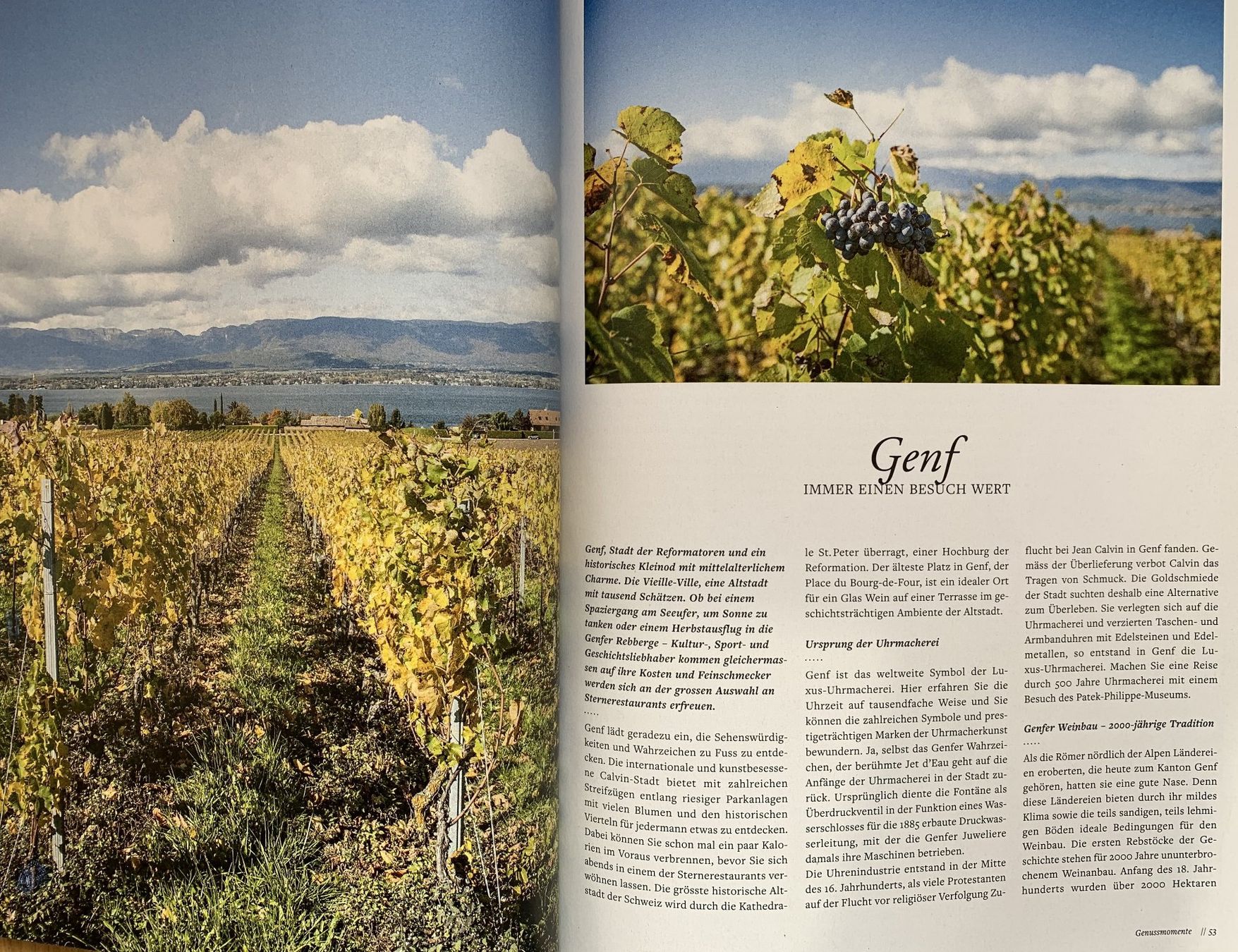 Riviste & Magazine: 2 Hefte: FREUDE AM GARTEN  -  EIN SCHWEIZER GARTENMAGAZIN – Nuovo e nell'imballaggio originale da Birsfelden venduto da Emporio82 9