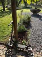 Story Trottinett / Scooter klappbar, grosse Räder, schwarz
