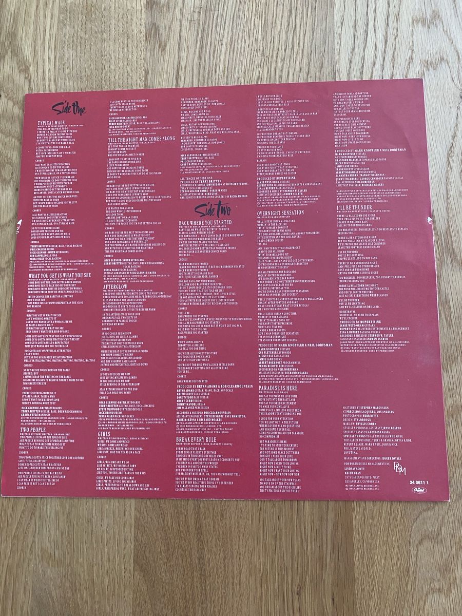 Schallplatten: Tina Turner Break Every Rule LP – Gebraucht aus Dietikon von dindin01 3