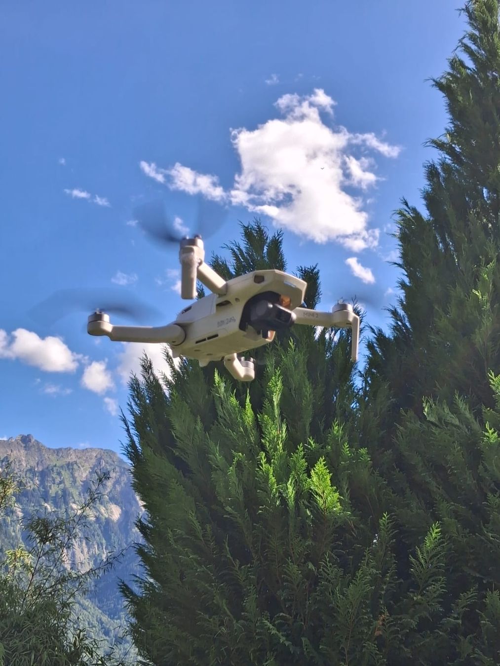 DJI Modellismo RC: DJI Mini 2 Fly  – Usato da Ringgenberg BE venduto da bettinagysi 1