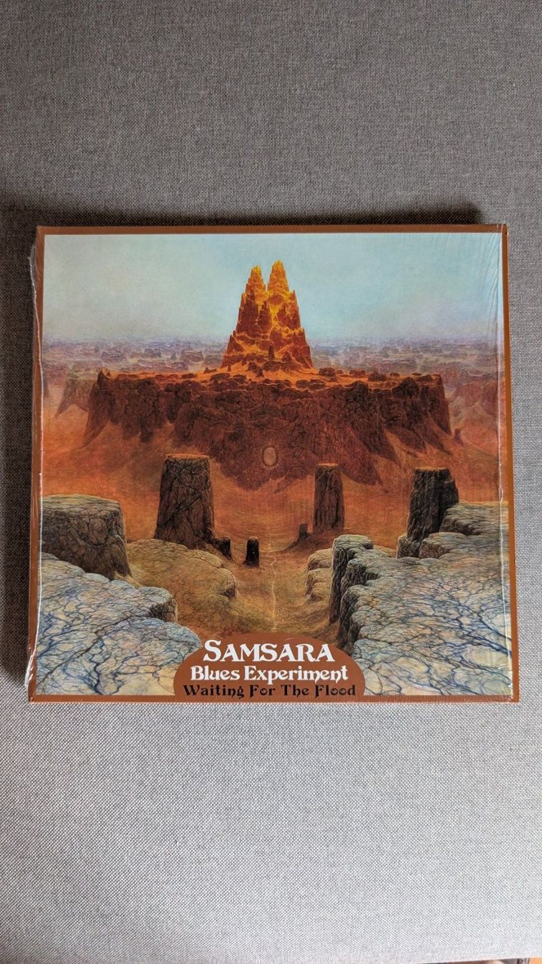 Dischi in vinile: Samsara Blues Experiment - Waiting For The Flood LP – Usato da Steinen venduto da beatstick