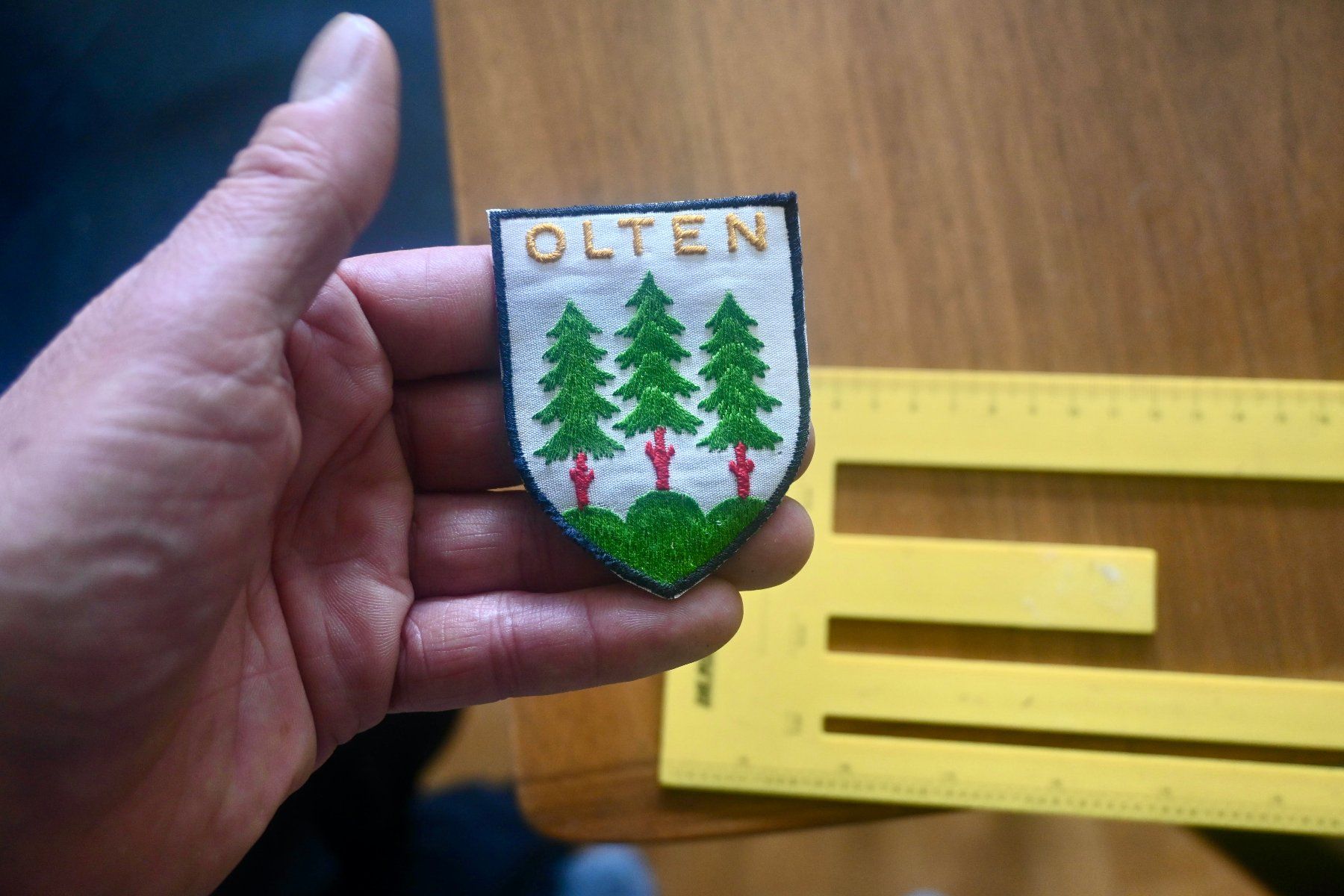 Swiss Placchette & Badge: VINTAGE Badge Wappen OLTEN – Usato da Pfaffhausen venduto da mono_rec 4
