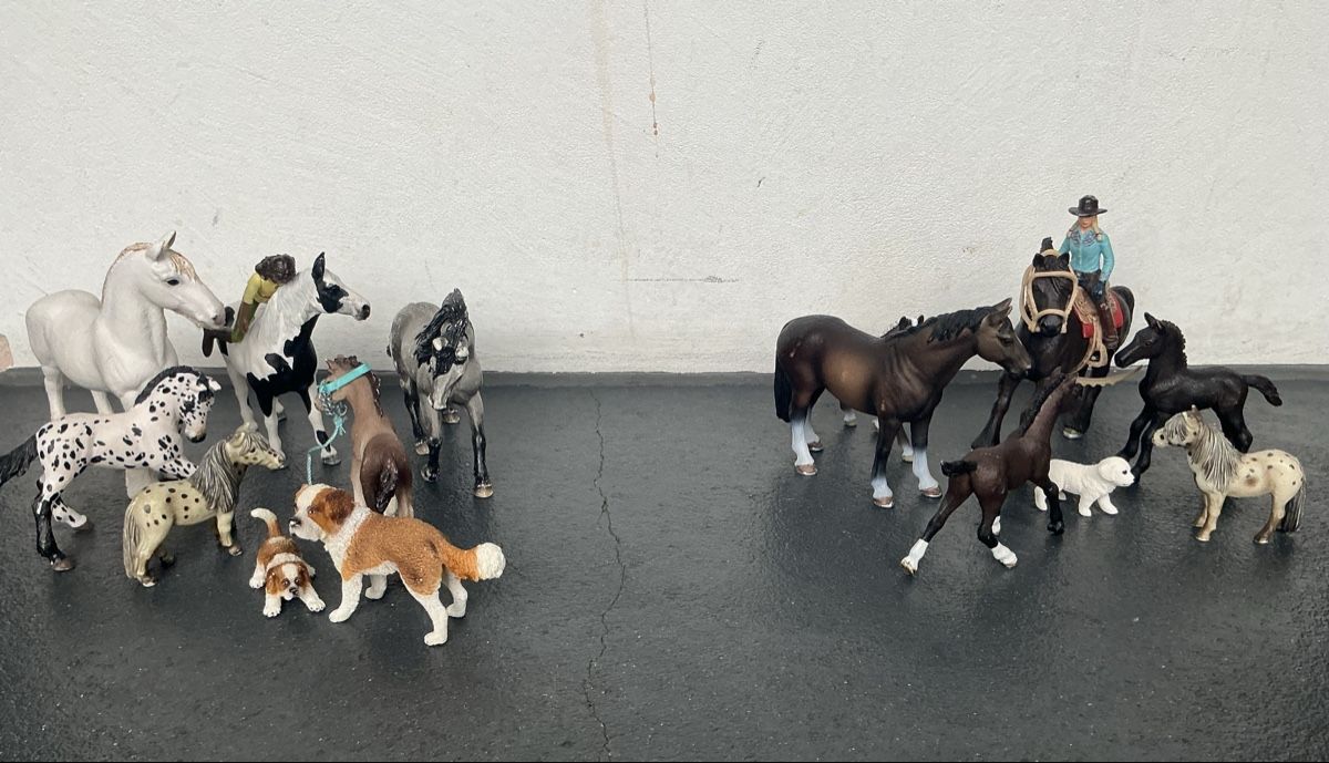 Schleich Giocattoli: Schleich – Usato da Kreuzlingen venduto da Sole2012 4