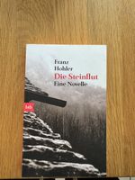 Franz Hohler - Die Steinflut, Novelle