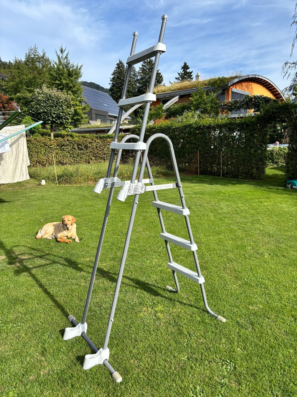 Intex Piscine: Poolleiter für Aufstellpools – Usato da Gommiswald venduto da Swichi 2