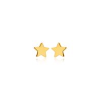 Ohrringe Ohrstecker 925 Silber gold Stern klein fein 5mm