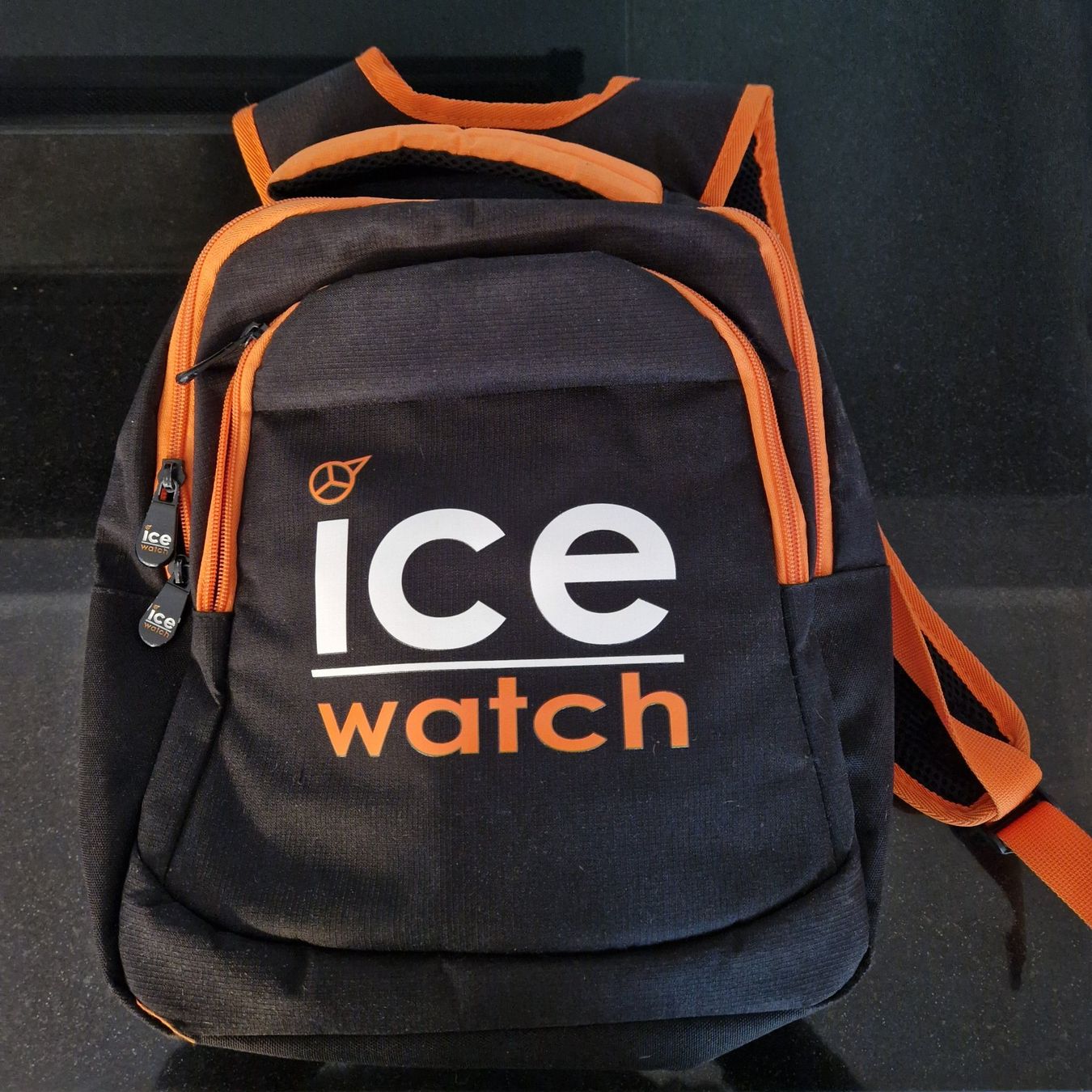 Zaini: Rucksack Ice watch – Usato da Gränichen venduto da sunchi07