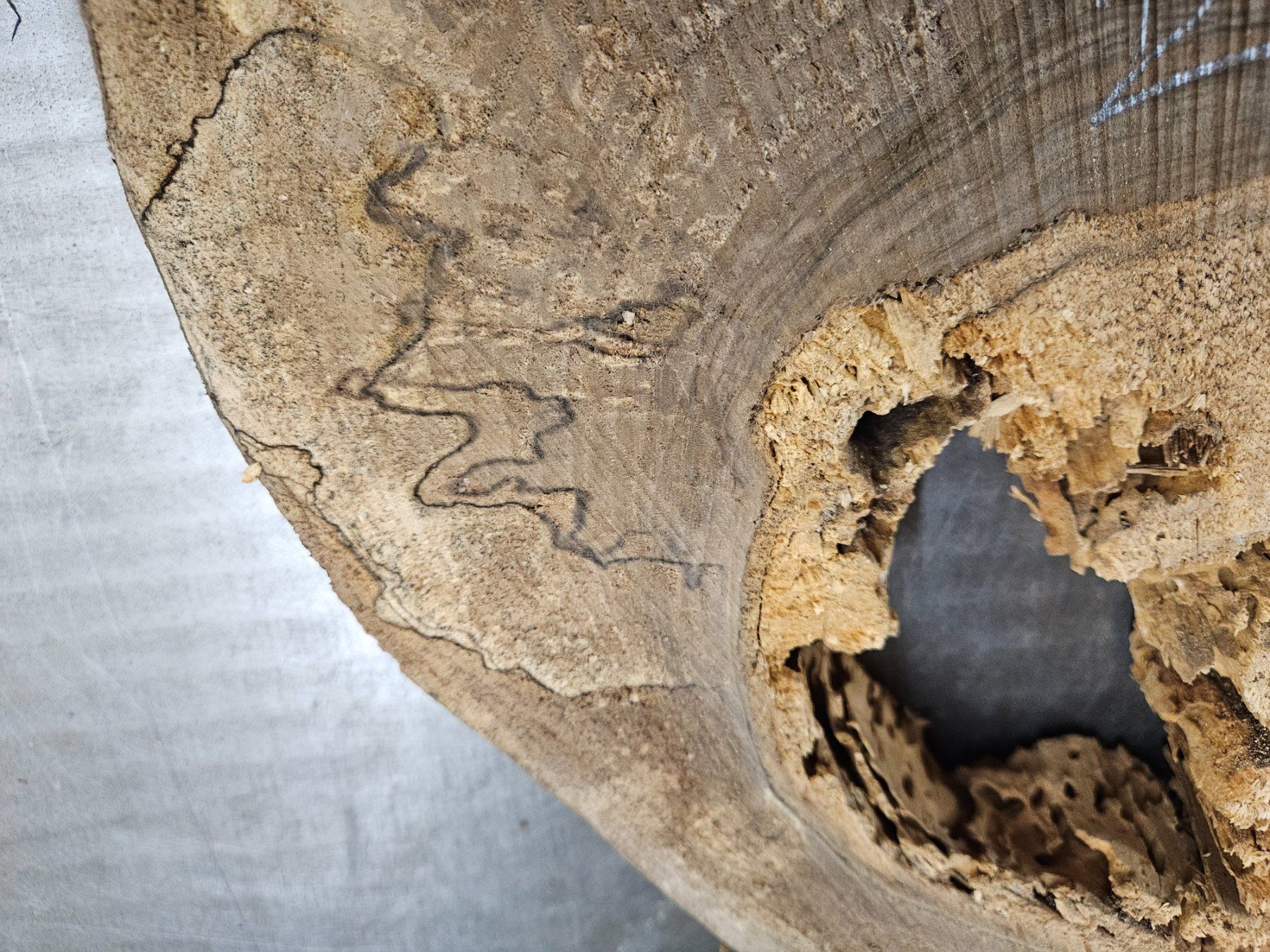 Articoli in legno: Nussbaum Holz Baumscheibe – Nuovo (secondo la descrizione) da Schangnau venduto da egli6.2 6