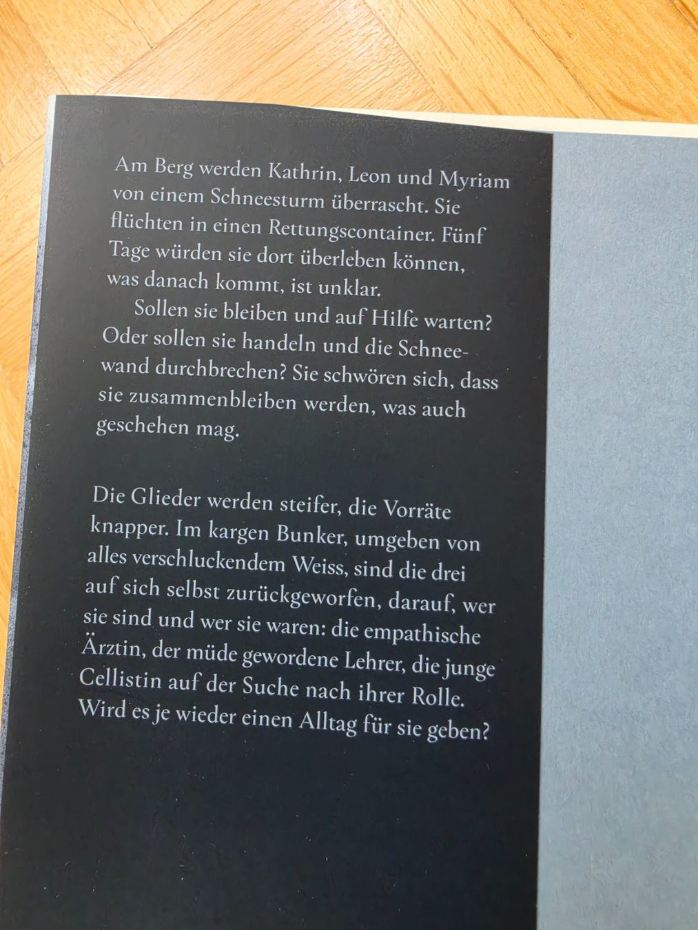 Bücher: Peter Weibel - Schneewand – Gebraucht aus Stäfa von flamingo_17 3