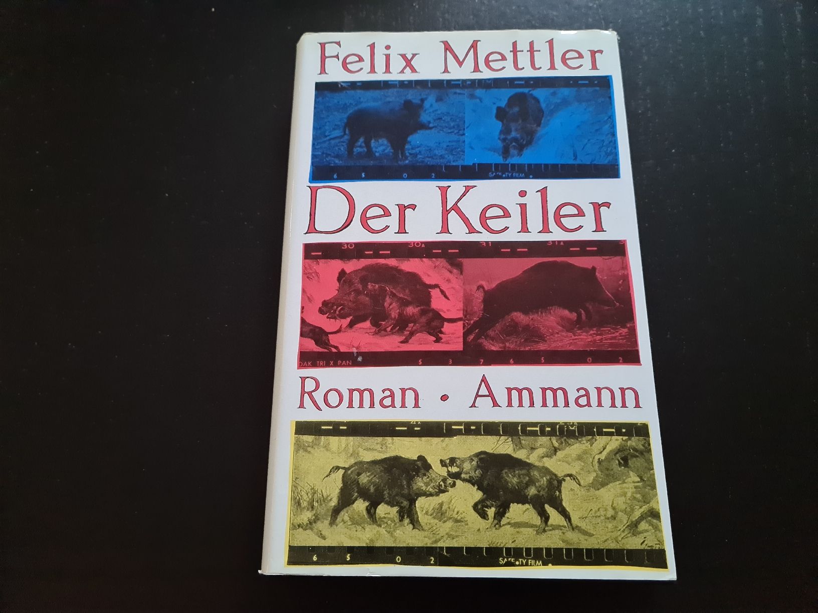 Libri: Der Keiler – Usato da Erstfeld venduto da Mario_boe0