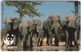 Elefanten - seltene volle deutsche Telefonkarte - WWF Serie