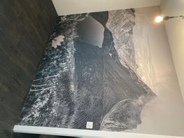 Wandtapete (Sihlseeli mit Saaspass)