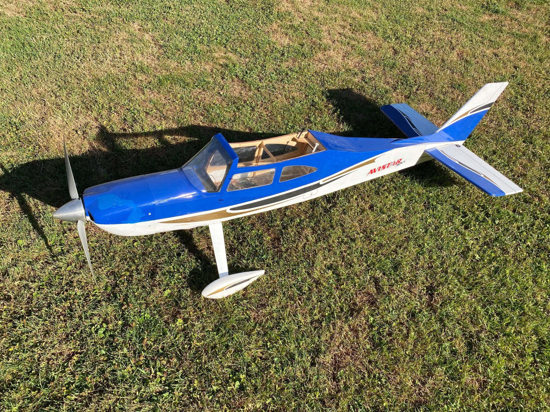RC Modellbau: Modellflugzeug AVISTAR – Gebraucht aus Berg TG von chr_2tsk 1